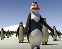 Schiffie & Co - Pinguïndans - Pinguindans