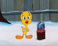 Looney Tunes en Español Latino America | Lo Mejor de Piolín y el Gato Silvestre | WB Kids